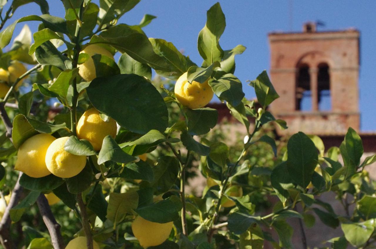 Monastero Sant'Anna In Camprena Villa Pienza Ngoại thất bức ảnh